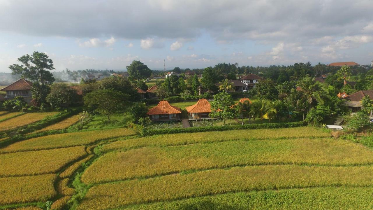 Griya Kcb Villa Ubud Mas  Zewnętrze zdjęcie