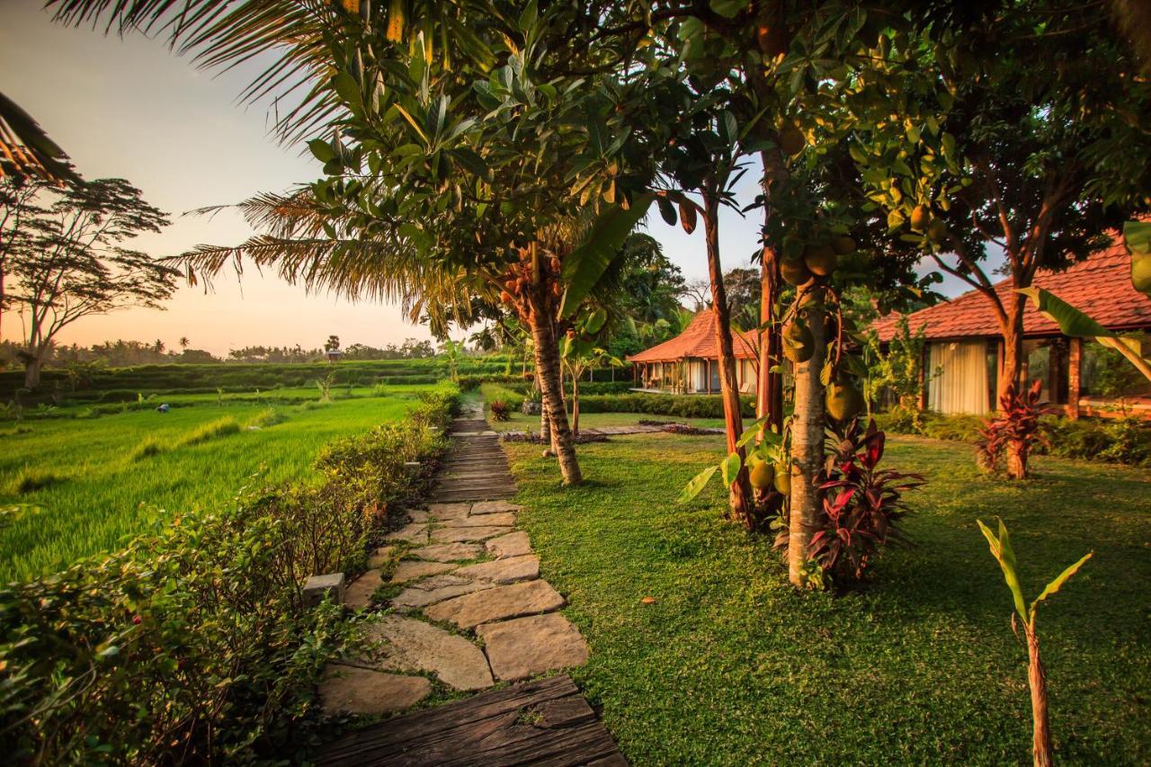 Griya Kcb Villa Ubud Mas  Zewnętrze zdjęcie